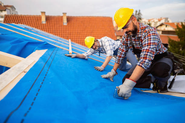 Best Roof Waterproofing Services  in Wixom, MI